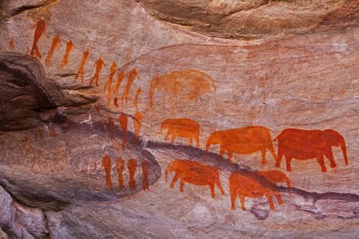 Historical San Rock Art near the Stadsaal Caves in the Cederberg. Western Cape, South Africa. There is no record of elephants occuring in this area.