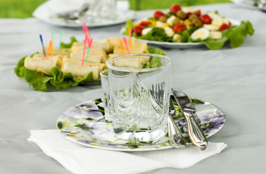 A beautiful set of snacks on the table during a picnic in nature .For your design