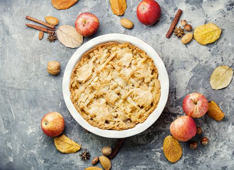 Autumn homemade pie with ripe apples.American pie.