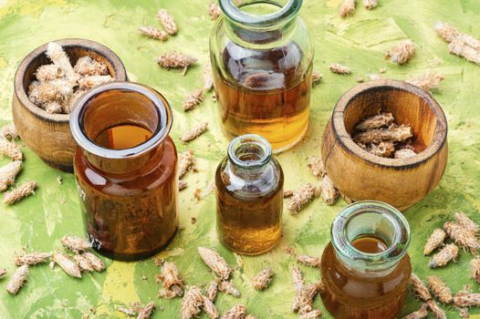 Healing tincture from pine kidneys.Medicinal tincture for colds.Herbal medicine