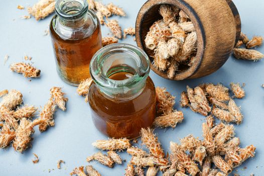 Healing decoction from pine kidneys.Dried pine buds.Medicinal tincture for colds.