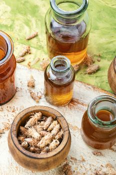 Healing tincture from pine kidneys.Dried pine buds.Medicinal tincture for colds.