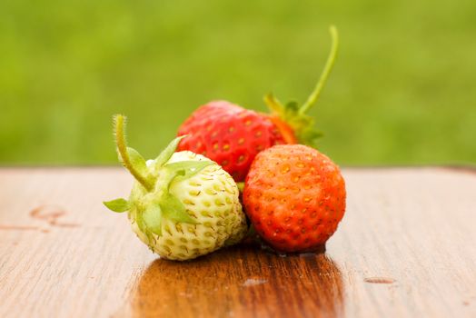 White and red strawberries lie in the sun. Delicious and sweet dessert berry. Vitamins .For your design