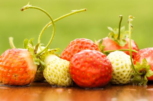 White and red strawberries lie in the sun. Delicious and sweet dessert berry. Vitamins .For your design