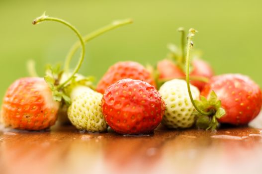 White and red strawberries lie in the sun. Delicious and sweet dessert berry. Vitamins .For your design