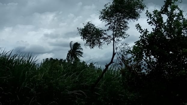 a wayside view during monsoon season