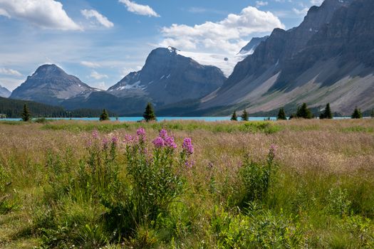Beautiful Bow Lake on a sunny day, Icefield Parkway, Banff National Park, Alberta, Canada