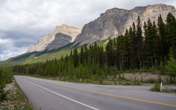 Panoramic image of the Icefield Parkway, Banff National Park, Alberta, Canada