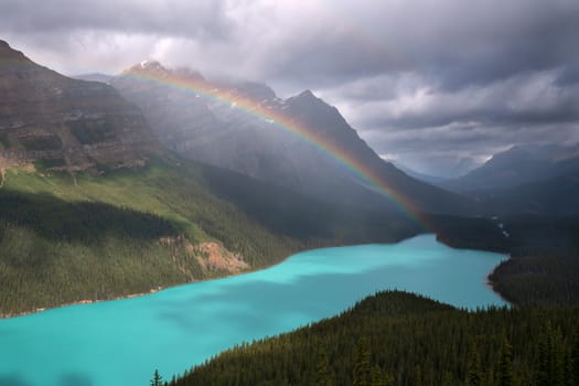 Beautiful Peyto Lake on a cloudy day, Icefield Parkway, Banff National Park, Alberta, Canada