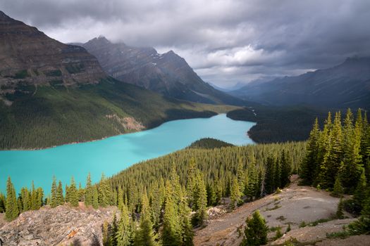 Beautiful Peyto Lake on a cloudy day, Icefield Parkway, Banff National Park, Alberta, Canada
