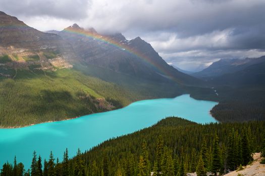 Beautiful Peyto Lake on a cloudy day, Icefield Parkway, Banff National Park, Alberta, Canada