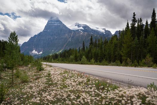 Panoramic image of the Icefield Parkway, Banff National Park, Alberta, Canada
