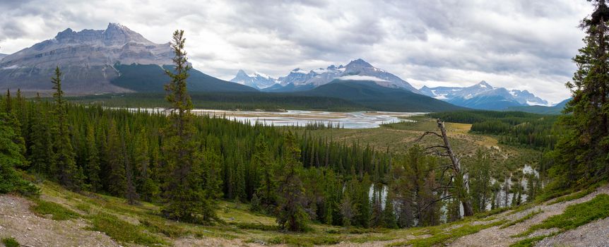 Panoramic image of the Saskatchewan River, Icefield Parkway, Banff National Park, Alberta, Canada