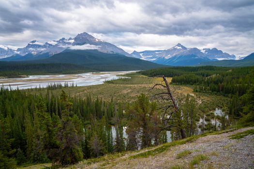 Panoramic image of the Saskatchewan River, Icefield Parkway, Banff National Park, Alberta, Canada