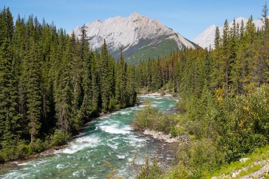 Panoramic image of Jasper National Park, Maligne Road, Alberta, Canada