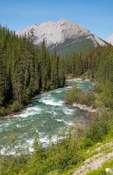 Panoramic image of Jasper National Park, Maligne Road, Alberta, Canada