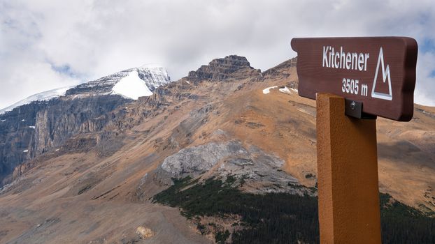 Panoramic image of Mount Kitchener, Icefield Parkway, Jasper National Park, Alberta, Canada
