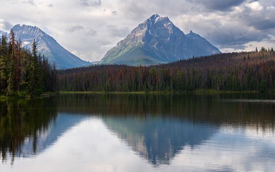 Panoramic image of Leach Lake, Jasper National Park, Alberta, Canada