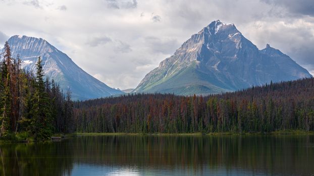 Panoramic image of Leach Lake, Jasper National Park, Alberta, Canada