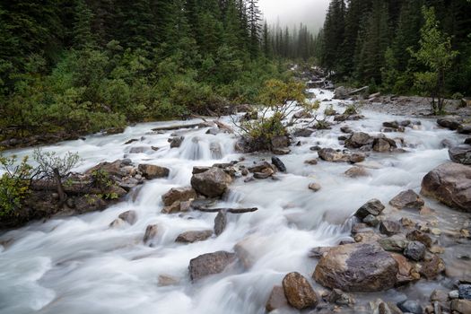 Small creek within the Rocky Mountains close to Lake Louise, Banff National Park, Alberta, Canada