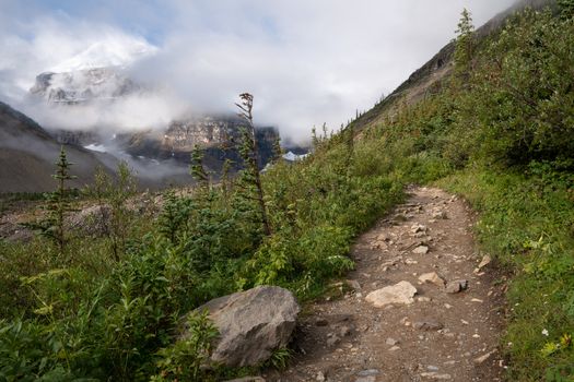 Hiking trail within the Rocky Mountains close to Lake Louise, Banff National Park, Alberta, Canada