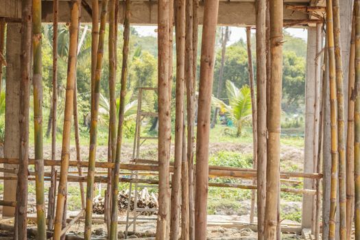 scaffolding eucalyptus wood for small building construction