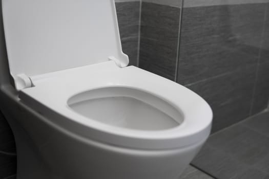 White toilet in modern home. White toilet bowl in bathroom
