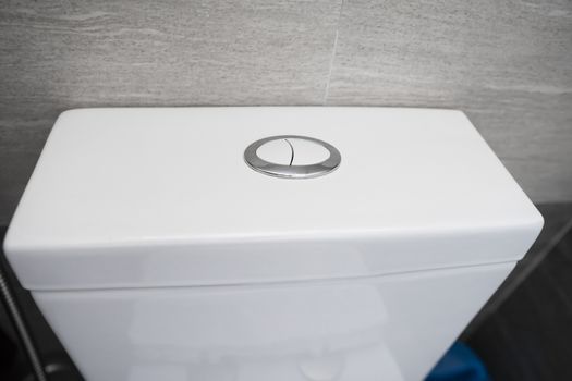 Close up on a flush toilet button for cleaning a toilet