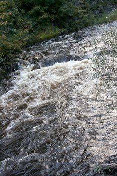 A small mountain stream with a strong current