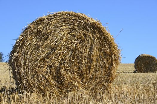 Large round straw roll with blue sky in background