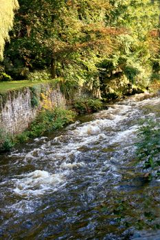 A small mountain stream with a strong current