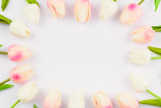 Happy Women's Day, Mother's Day and Valentine's Day concept. top view flat lay Tulip flower on white background, copy space for your text