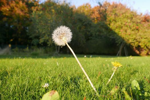 walk in the Brittany countryside in Finistere, France.
discovery of the flora and fauna of the forests