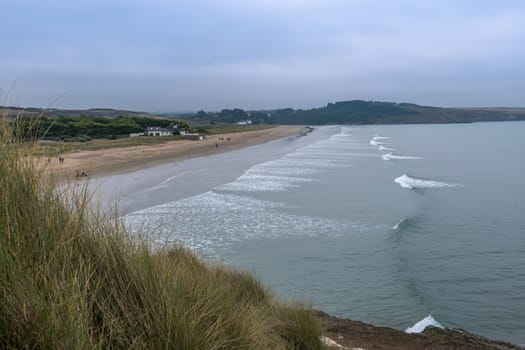 walk in the Brittany countryside in Finistere, France.
discovery of the flora and fauna of the forests