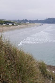 walk in the Brittany countryside in Finistere, France.
discovery of the flora and fauna of the forests