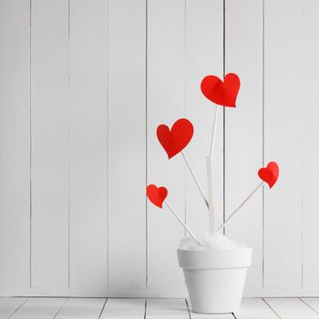 Heart haped flowers in white pot on white wooden background. Growing love. Valentines day concept