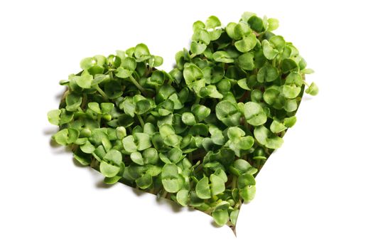 Sprout green plants growing a heart shape isolated on white background