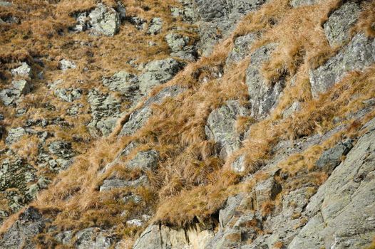 natural mountan rock with dried yellow brown grass
