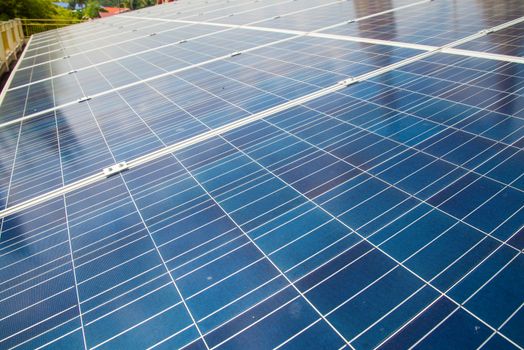 Solar panels are used to generate electricity in the home.
