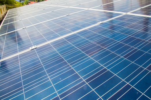 Solar panels are used to generate electricity in the home.
