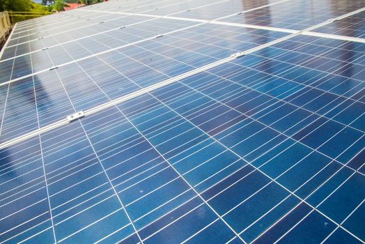 Solar panels are used to generate electricity in the home.