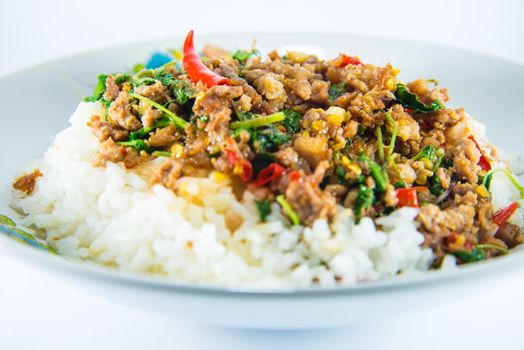 Fried pork and basil on white background.