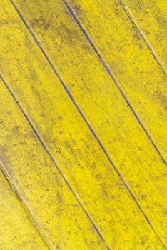 Oil slick on old wooden door for background.