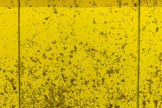 Oil slick on old wooden door for background.