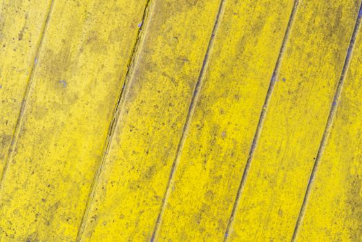 Oil slick on old wooden door for background.