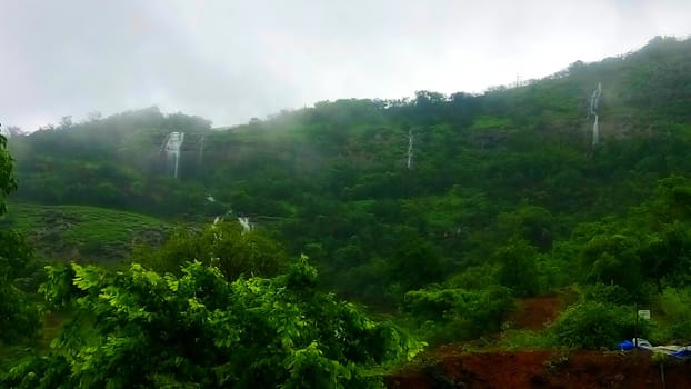 visiting forest during monsoon season