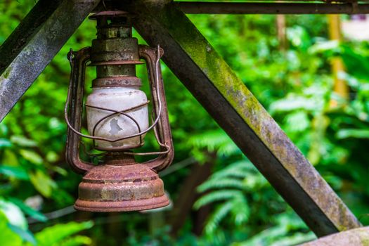 closeup of a old rusty vintage lantern with the jungle in the background