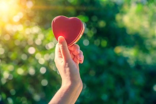 The hands of women and men are the heart shape with the sun light passing through the hands