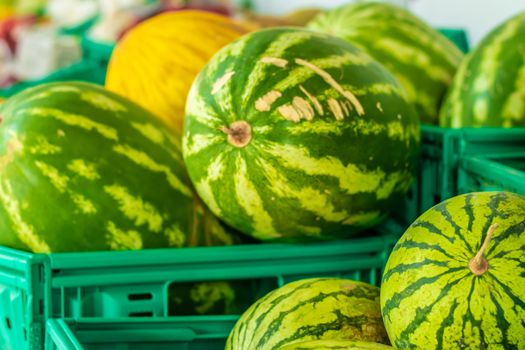 a closeup shoot to good looking pastel green watermelons in crate. photo has taken at izmir/turkey.