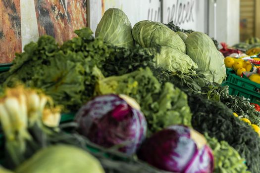 a wide shoot to some lettuce and red cabbage - faded colors on them. photo has taken at izmir/turkey.